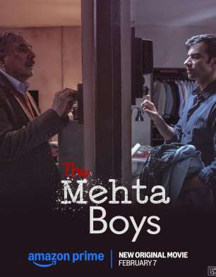 the mehta boys movie poster