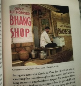 Government approved Bhang Shop in Jaisalmer from book on Cannabis by Bradley J. Borougerdi