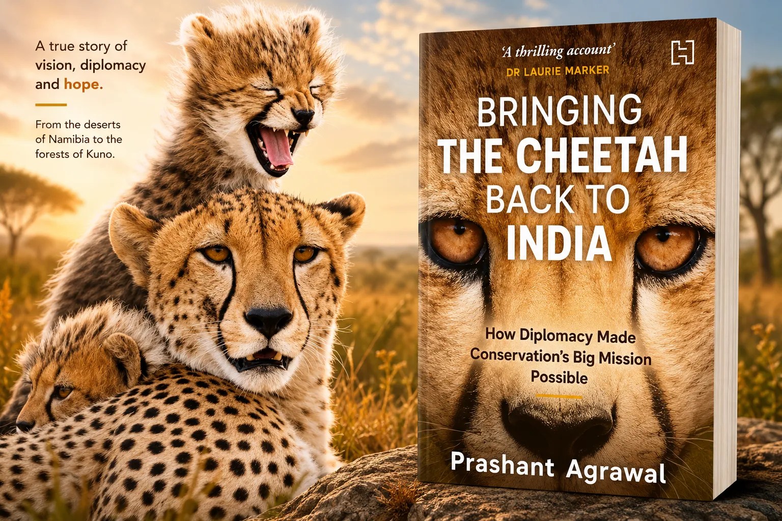 Bringing the Cheetah Back to India: Book Review