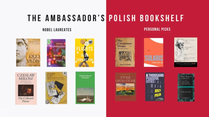 12 Polish writers recommended by Ambassador Piotr Switalski
