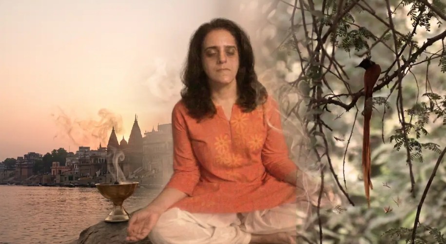 Meditation has been one of my most disciplined practices hero image for queen of treasures
