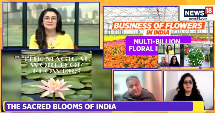 Ambica Gulati speaks on CNN-News 18 on Indigenous Flowers, Feb 2025